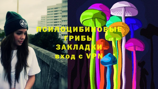 крисы Армянск