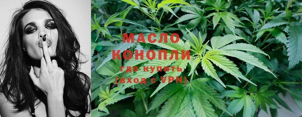 крисы Армянск